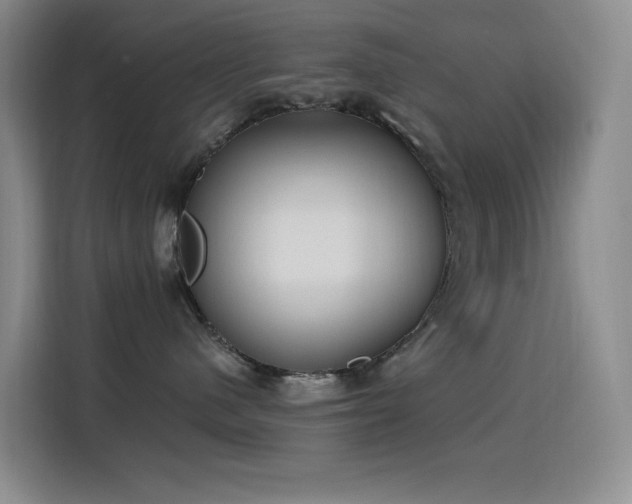 X0000116110480200911231149