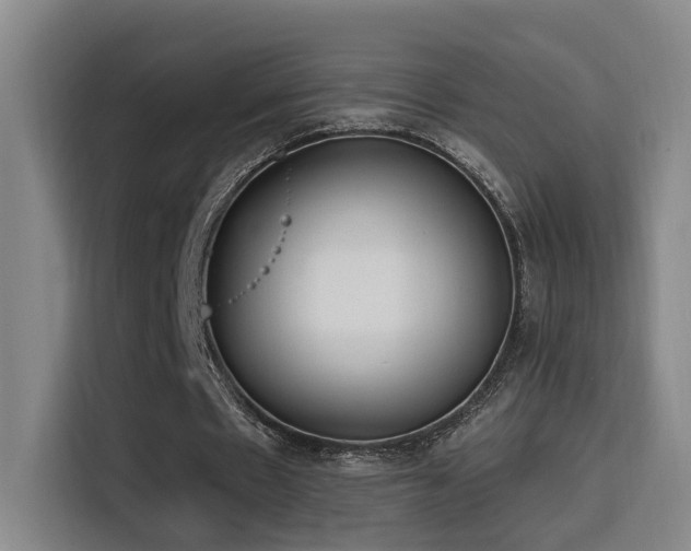 X0000116110481200911231148