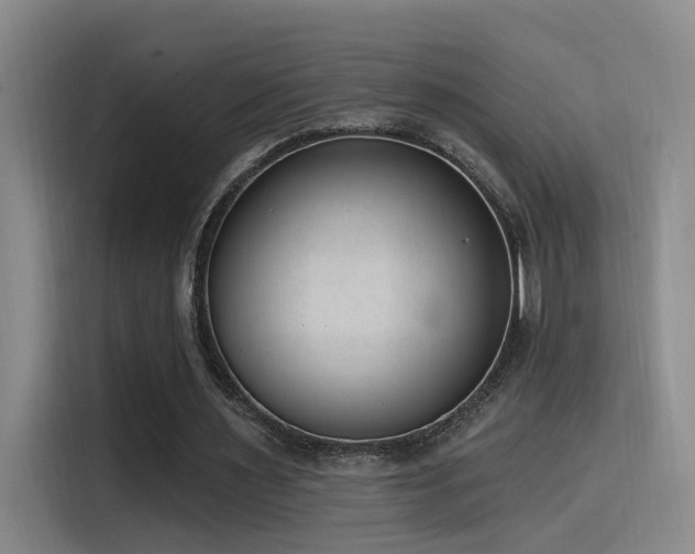 X0000116110483200911231148