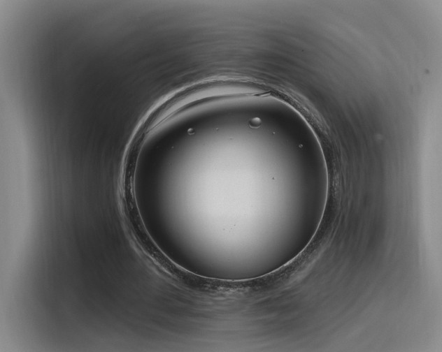 X0000116110484200911231148