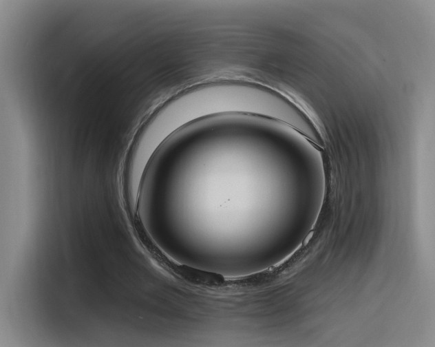 X0000116110485200911231148