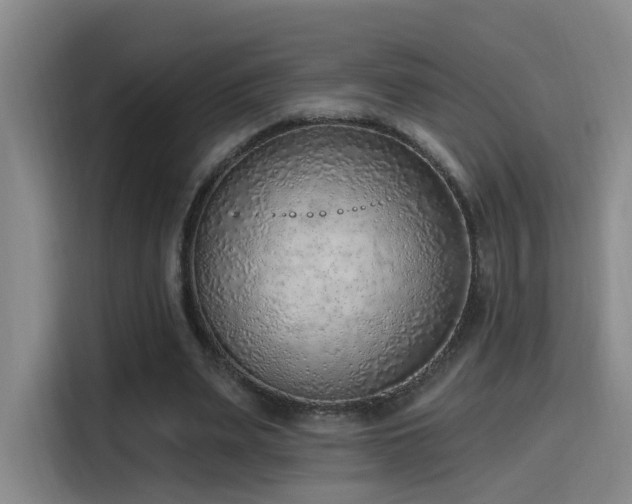 X0000116110487200911231148