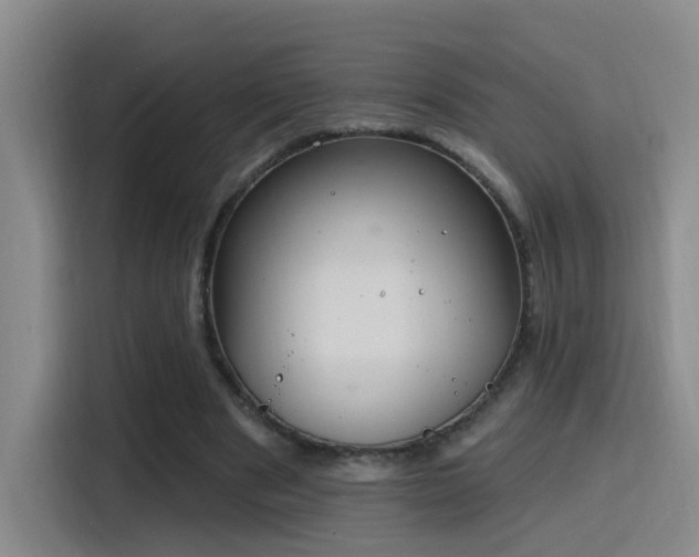 X0000116110489200911231148