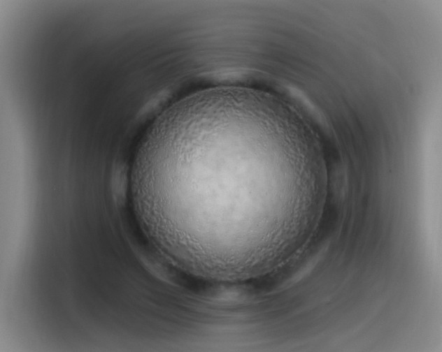 X0000116110495200911231148