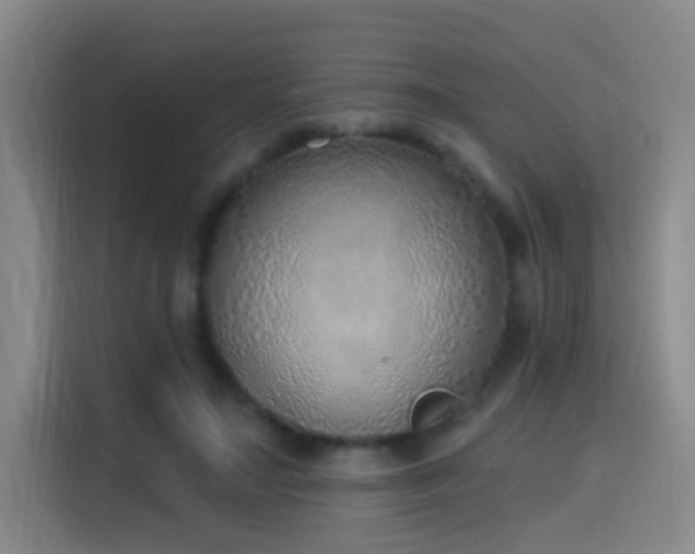 X0000116110499200911231148