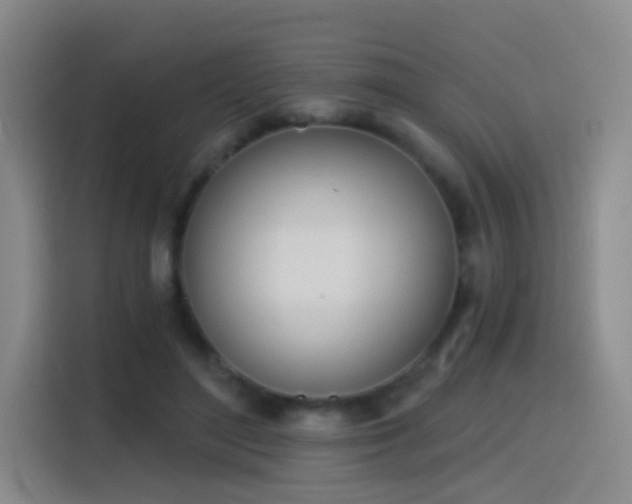 X0000116110500200911231148