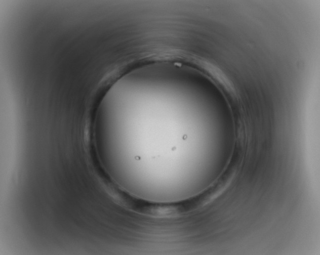 X0000116110501200911231148