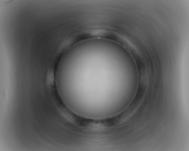 X0000116110502200911231148