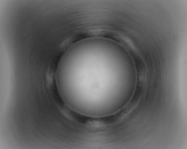 X0000116110503200911231148