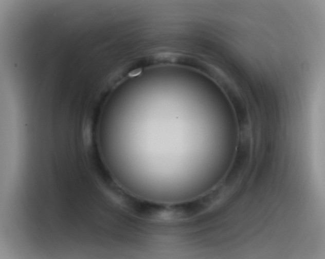 X0000116110504200911231148