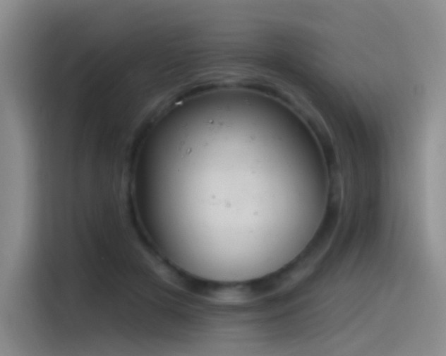 X0000116110505200911231148