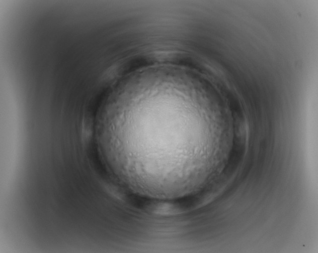 X0000116110507200911231148