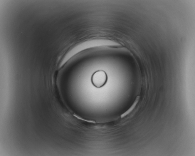 X0000116110508200911231148