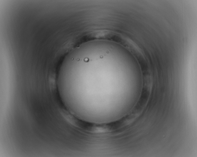 X0000116110510200911231148