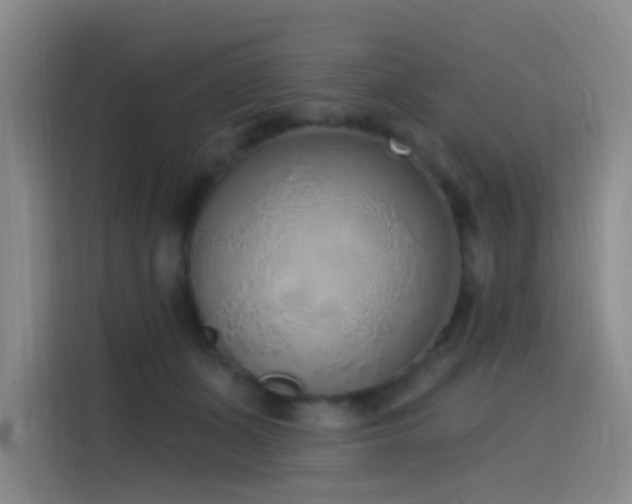 X0000116110511200911231148