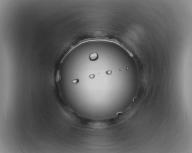 X0000116110512200911231148