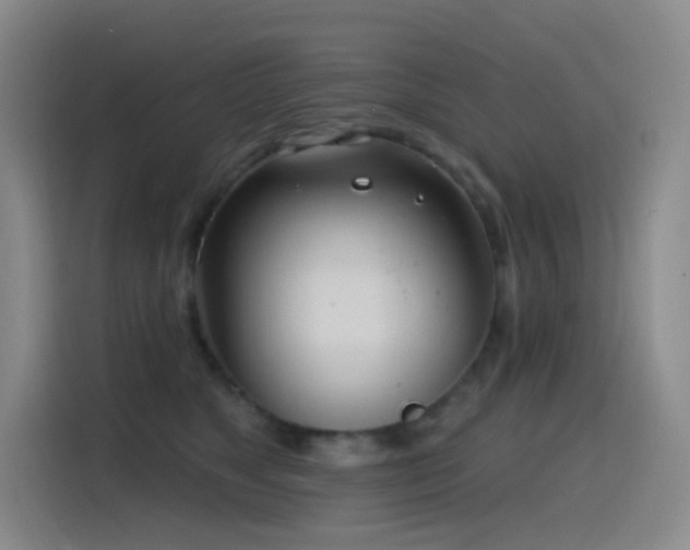 X0000116110517200911231148