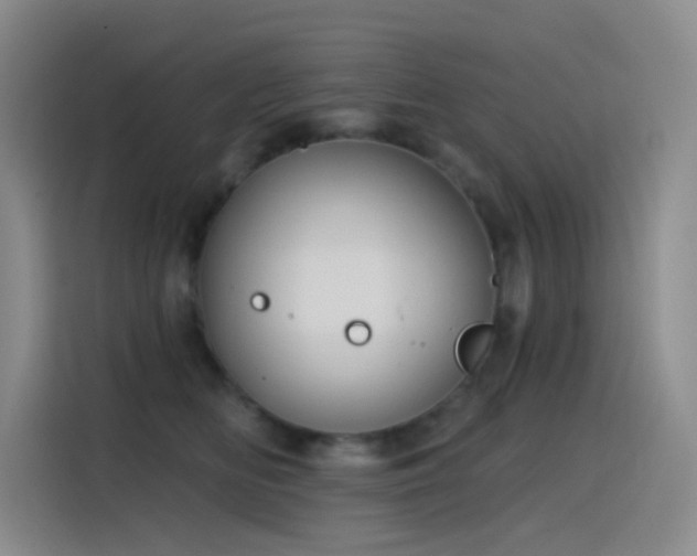 X0000116110518200911231148