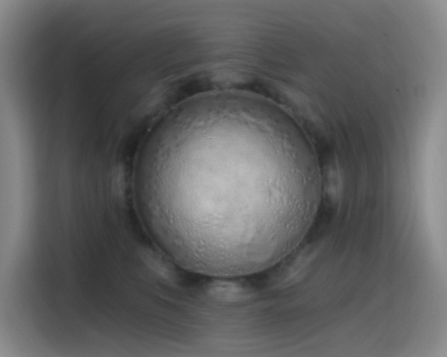 X0000116110519200911231148