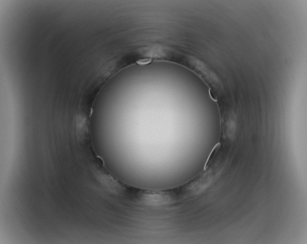 X0000116110521200911231148