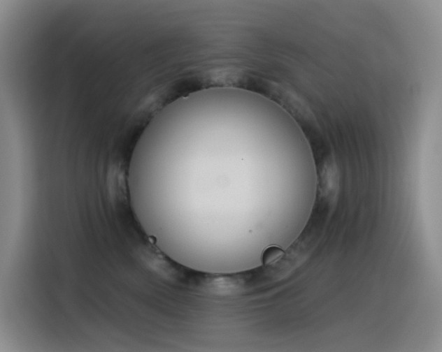 X0000116110522200911231148