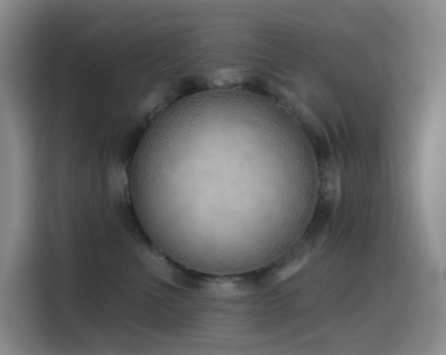 X0000116110523200911231148