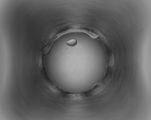 X0000116110524200911231148