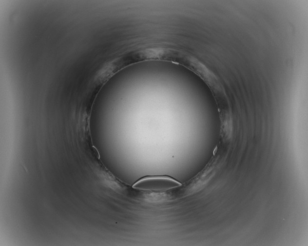 X0000116110525200911231148