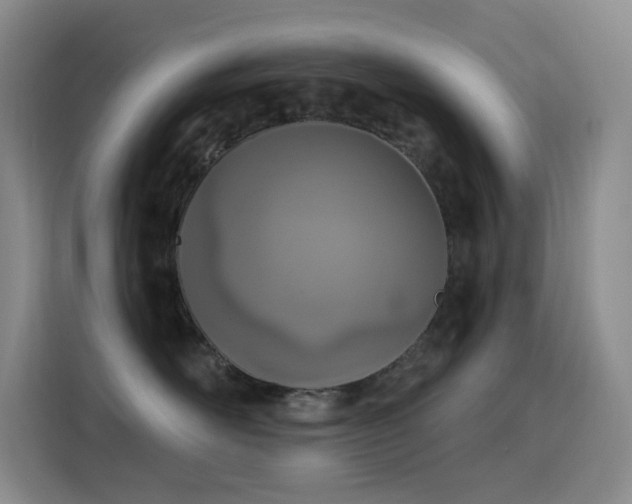 X0000116110526200911231148