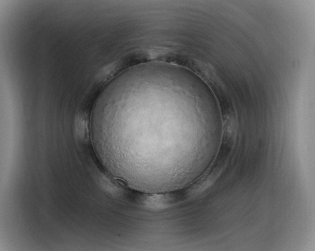 X0000116110527200911231148