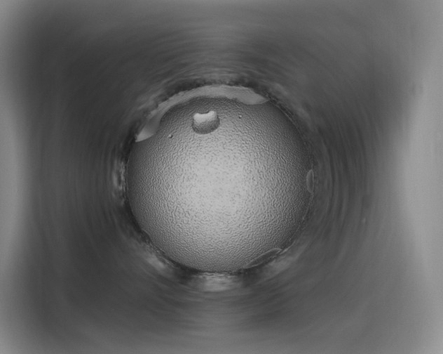 X0000116110528200911231148