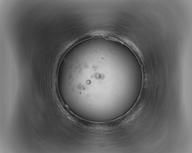 X0000116110529200911231147