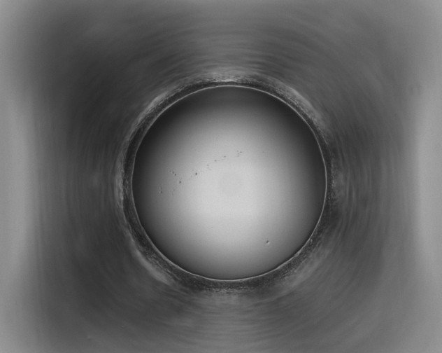 X0000116110530200911231147