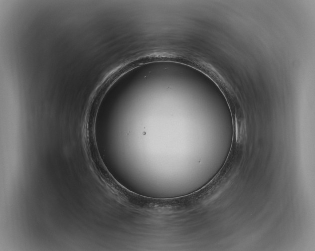 X0000116110531200911231147