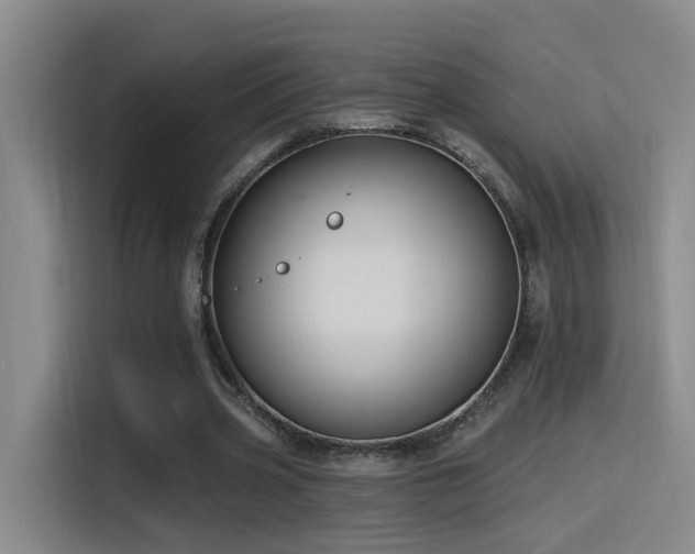 X0000116110533200911231147