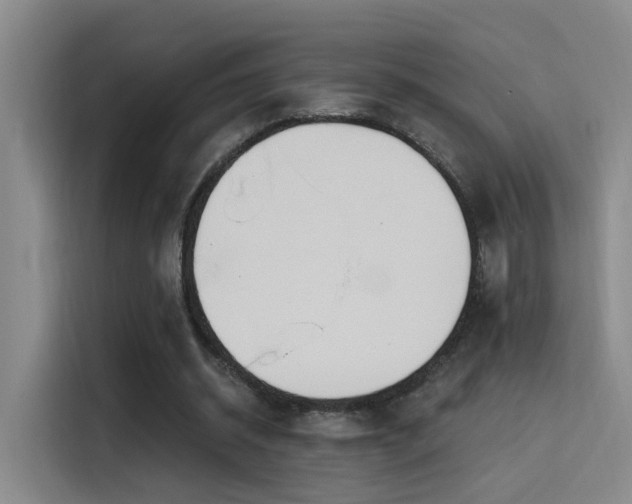 X0000116110534200911231147