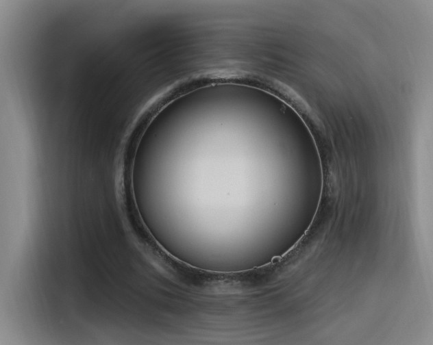 X0000116110535200911231147