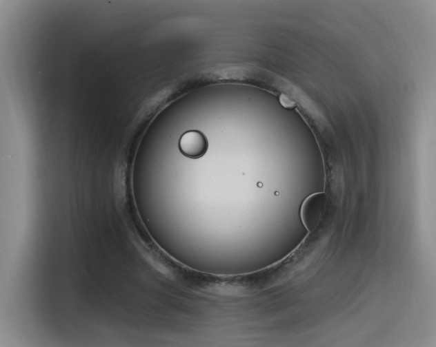 X0000116110537200911231147