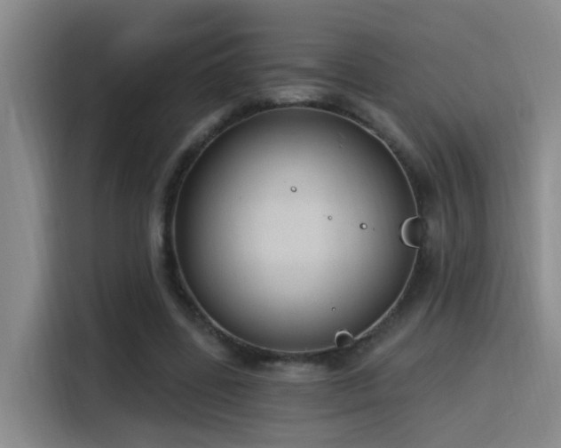 X0000116110539200911231147