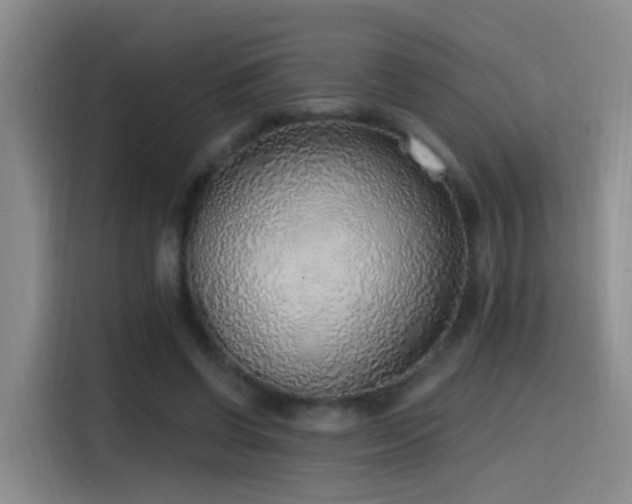 X0000116110542200911231147