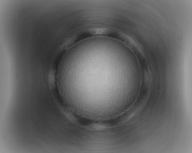 X0000116110545200911231147