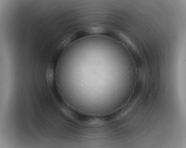 X0000116110549200911231147