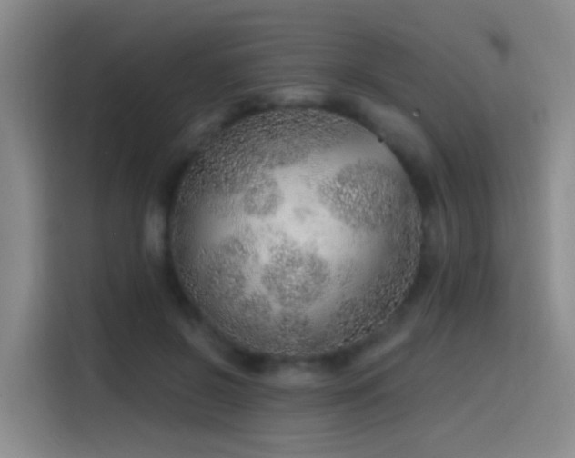 X0000116110550200911231147