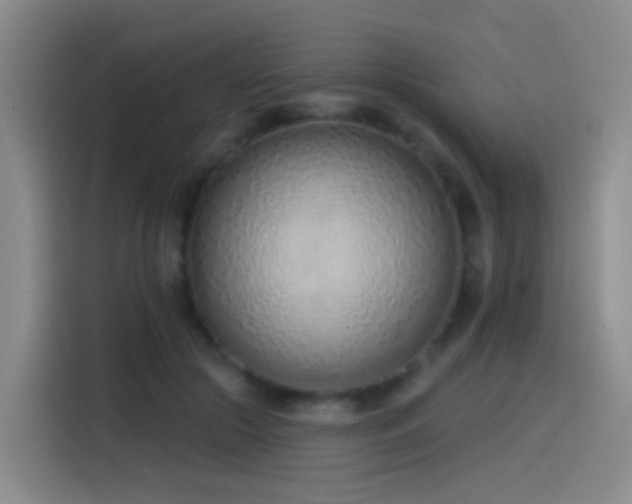 X0000116110553200911231147