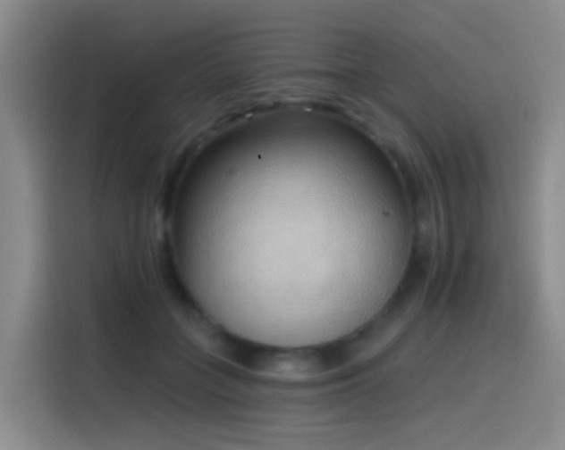 X0000116110555200911231148