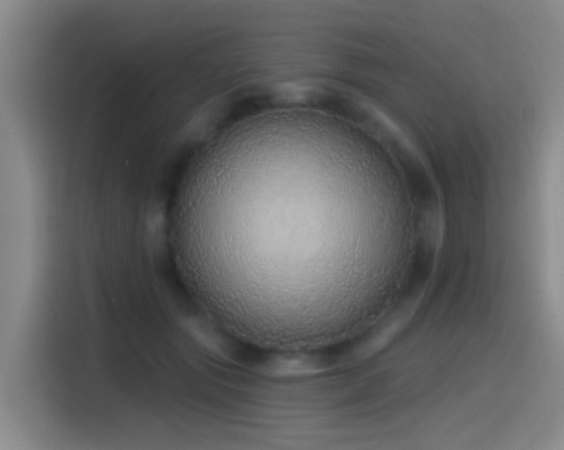 X0000116110557200911231148