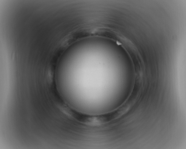 X0000116110558200911231148