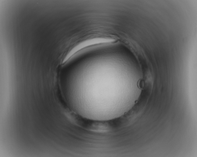 X0000116110559200911231148