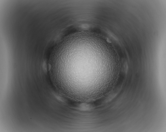 X0000116110562200911231148