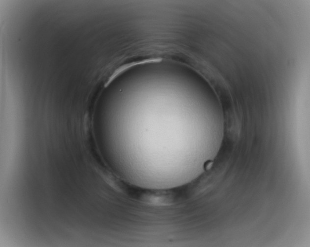 X0000116110563200911231148